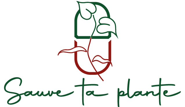 Logo normal rouge en bas et vert en haut avec plante et titre